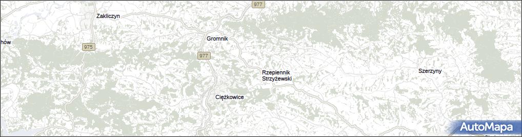 Rzepiennik Strzyżewski